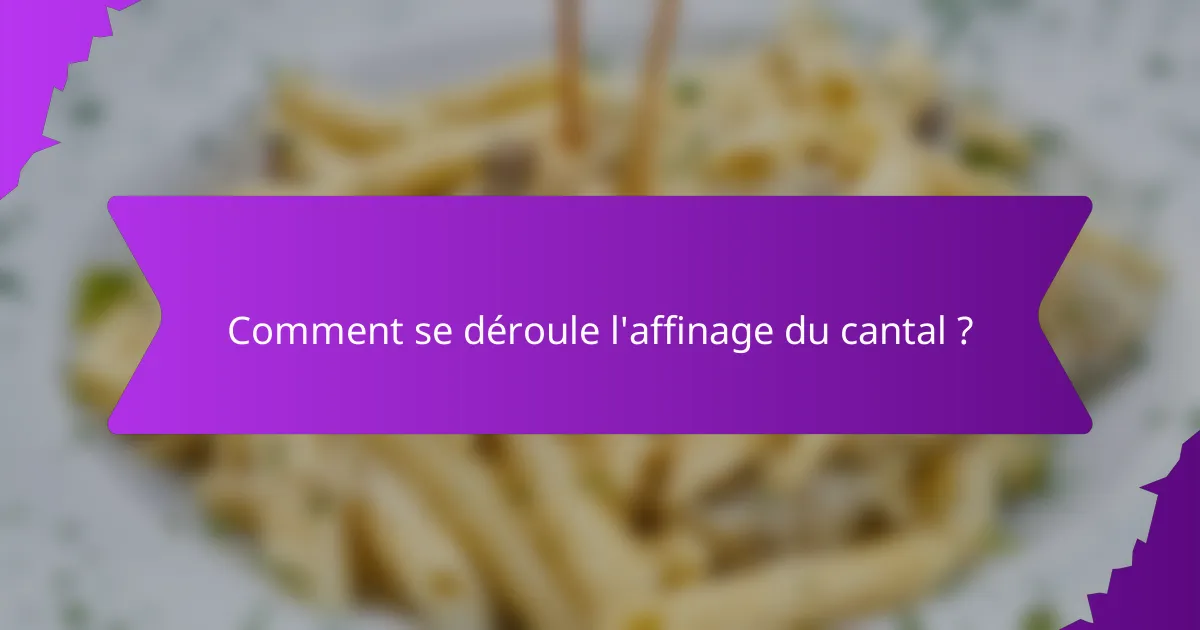 Comment se déroule l'affinage du cantal ?