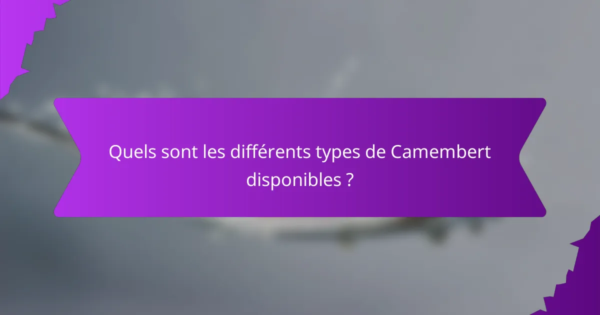 Quels sont les différents types de Camembert disponibles ?